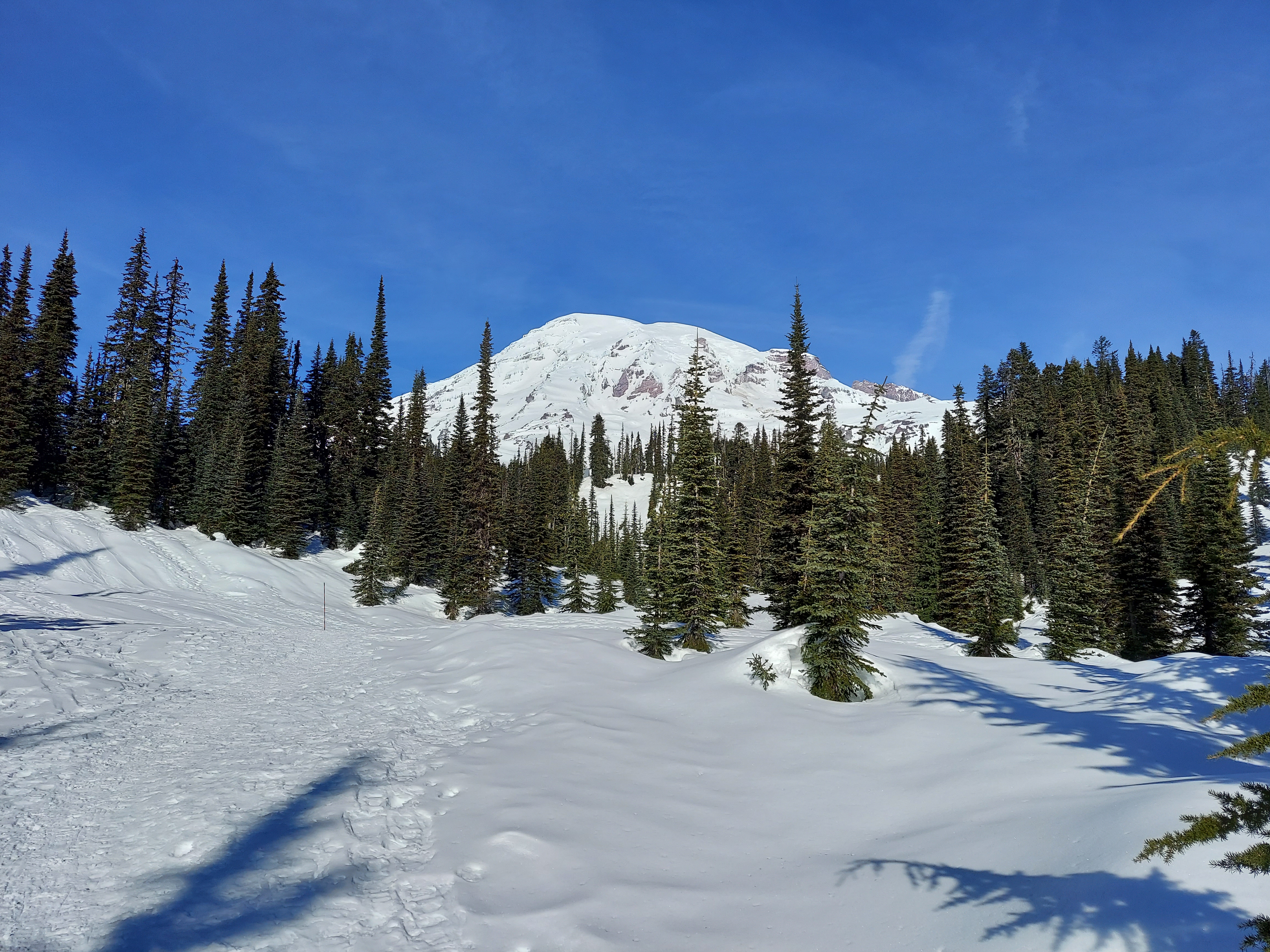 Mount Rainier